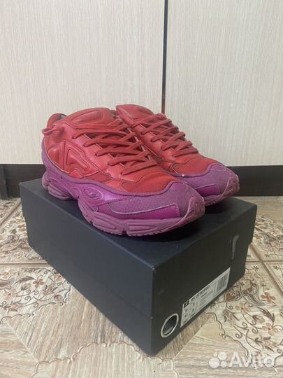 Adidas raf simons ozweego 2 glory