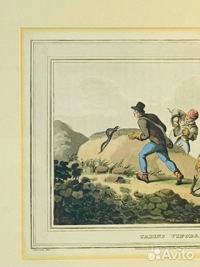 Винтажная гравюра