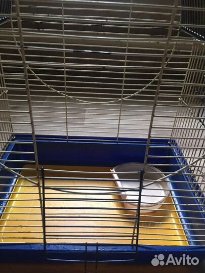 Клетка для грызунов ferplast