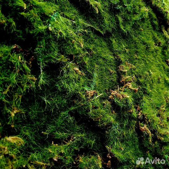 Мох искусственный 