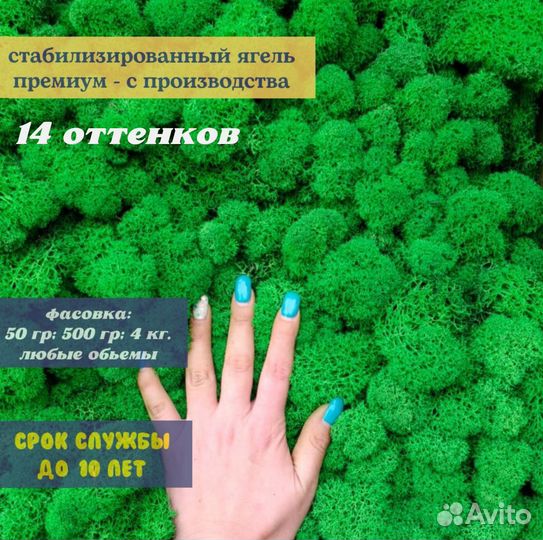 Стабилизированный мох ягель, плоский или кочки, от