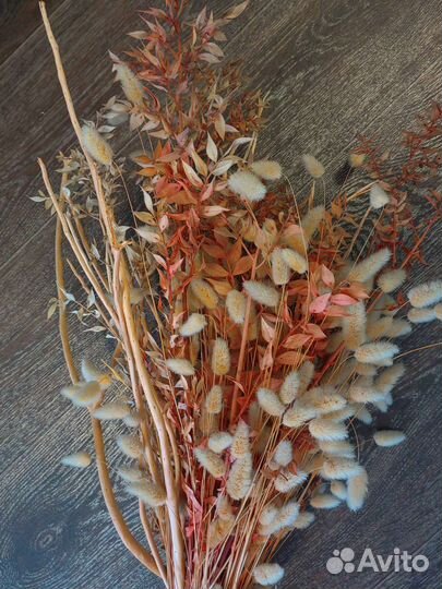 Сухоцветы