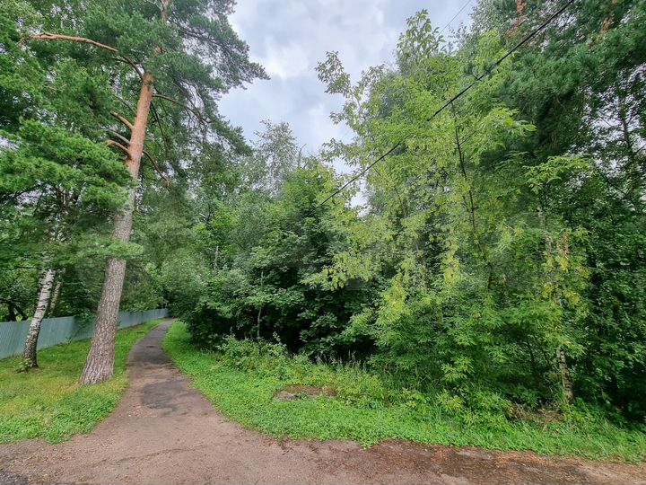 Участок 40 сот. (ИЖС)