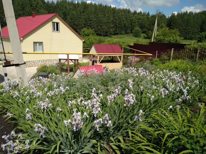 Дом 276 м² на участке 21 сот.