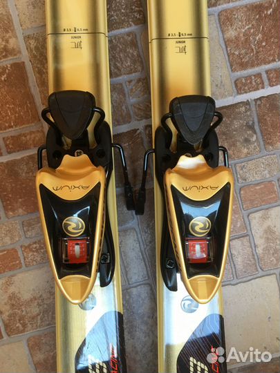 Горные лыжи