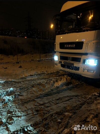 КАМАЗ 5490 NEO 2, 2020