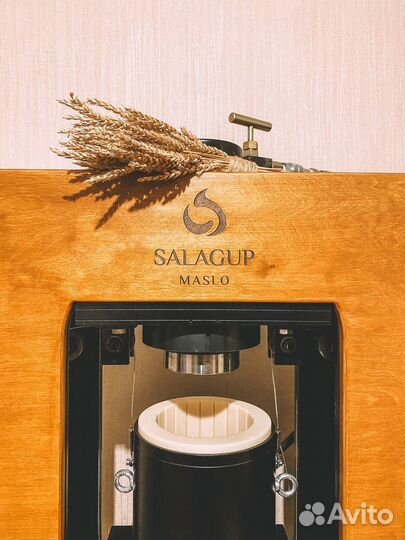 Маслопресс модульный salagup maslo / 100 Тонн