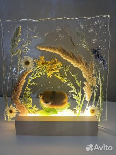 Ночник, детский ночник