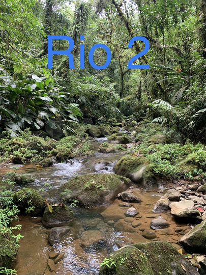 Участок 41300 м² (Коста-Рика)