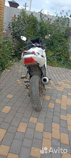 Yamasaki Scorpion 3