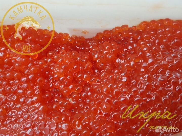 Красная икра кеты