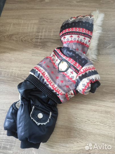 Комбинезон для собаки