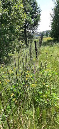 Участок 5 сот. (СНТ, ДНП)