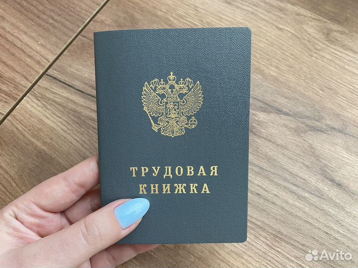 Трудовая книжка ТК 6