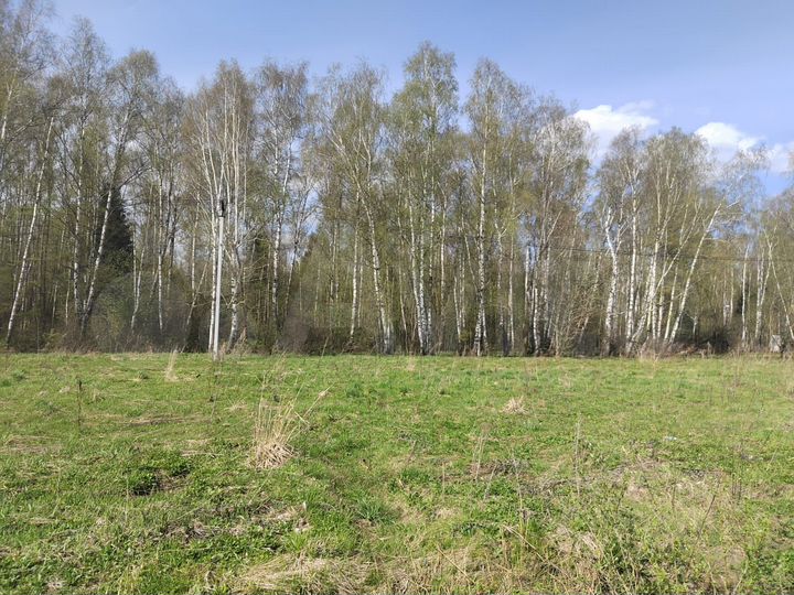 Участок 10 сот. (ИЖС)