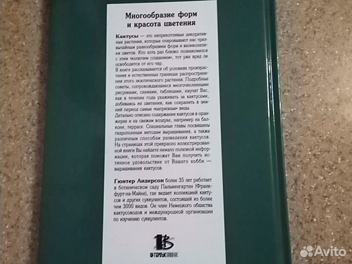 Гюнтер Андерсон Кактусы в нашем доме