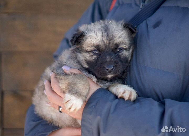 Малыши из приюта ищут дом