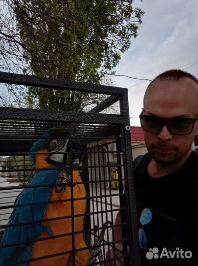 Собеседник собутыльник друг он-лайн