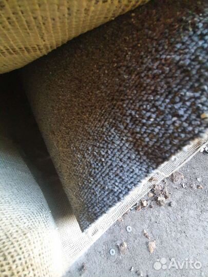 Ковровое покрытие