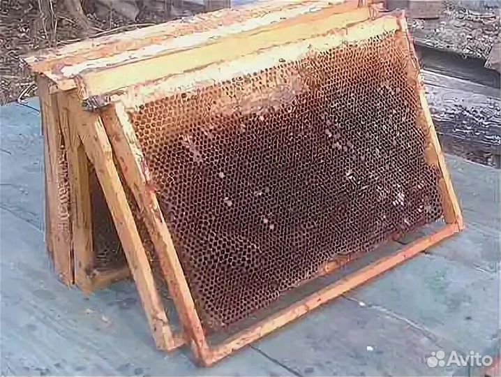 Сушь для пчел