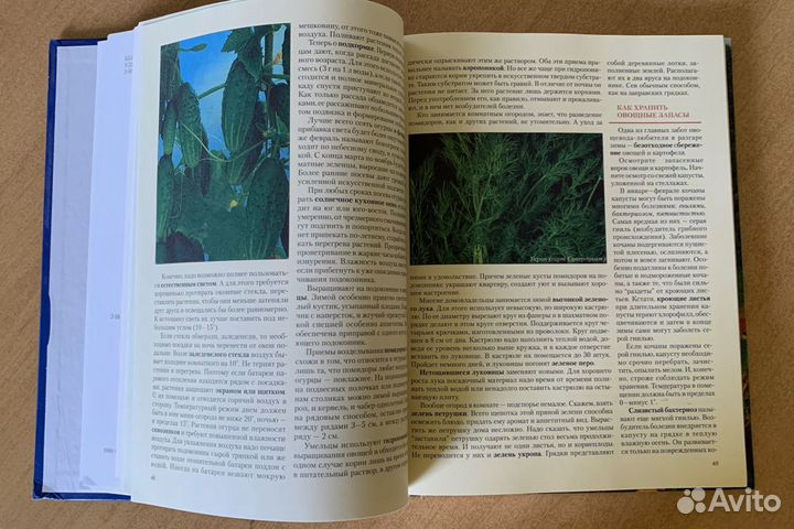 Энциклопедия русской усадьбы 256 стр