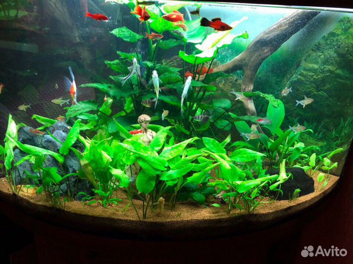 Аквариумный грунт OreFilter Bio