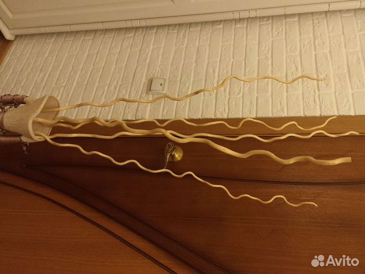 Растения для декора, интерьерной композиции