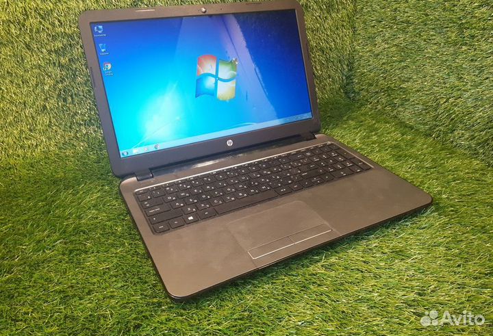 Ноутбук HP студентам и к работе в офисе. Гарантия