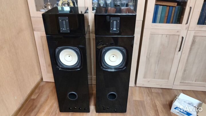 Акустические колонки на базе FostexFE206En