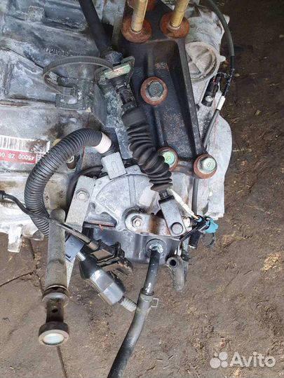 АКПП kia carnival 2.9 50-42LE 2005г