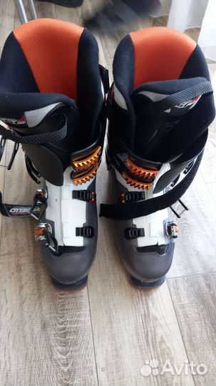 Горные лыжи