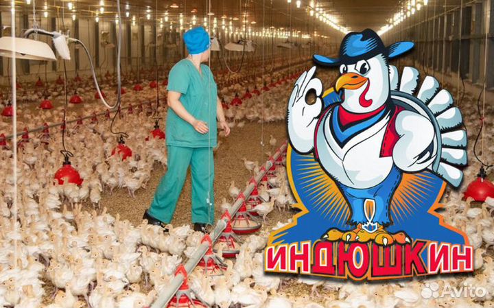 Филе бедра индейки Индюшкин