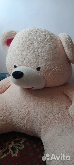 Медведь в добрые руки