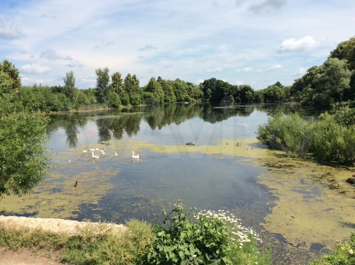 Участок 44,3 сот. (ИЖС)