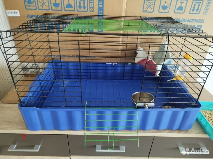 Клетка для грызунов большая
