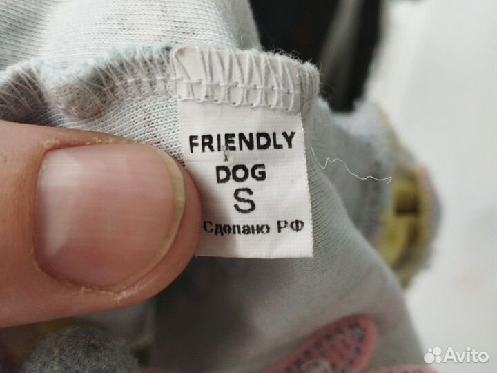 Платье и кофта на сфинксов и маленьких собак