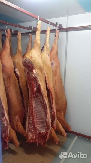 Мясо опт и розница