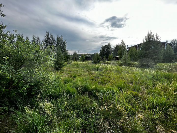 Участок 12 сот. (ИЖС)