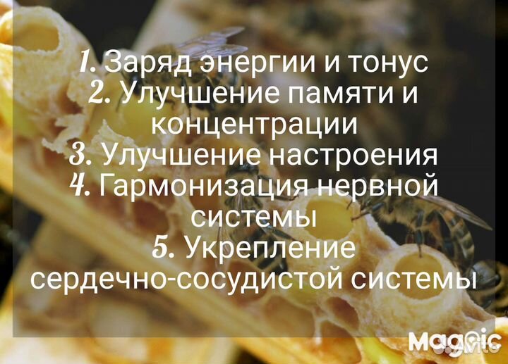 Пчелиное маточное молочко нативное 2023 года
