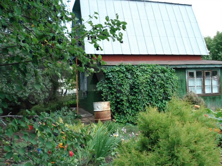 Дача 37 м² на участке 5 сот.