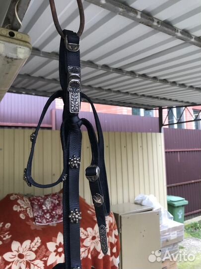 Уздечка для лошади