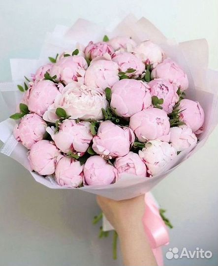 Пионы Букет пионов