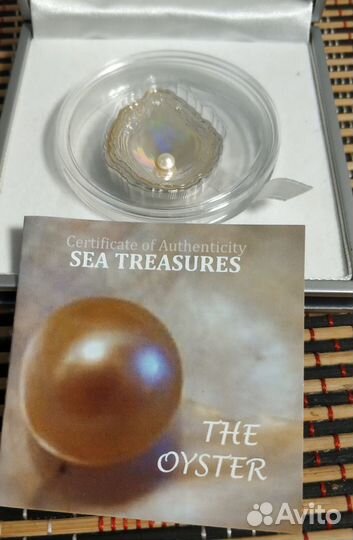 Монета Палау 2011 устрица