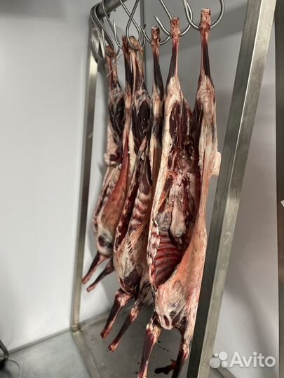 Мясо, лось, олень, кабан, молодой баран