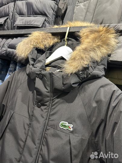 Зимняя парка Lacoste