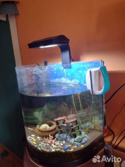 Аквариум tetra 30 литров