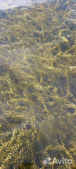 Отдых на Байкале экскурсии