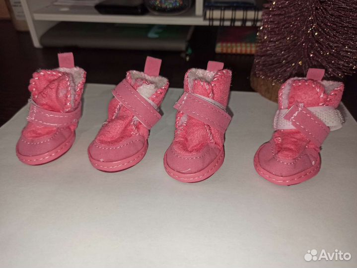 Ботинки для собак