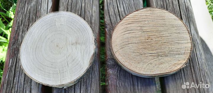 Спил дерева