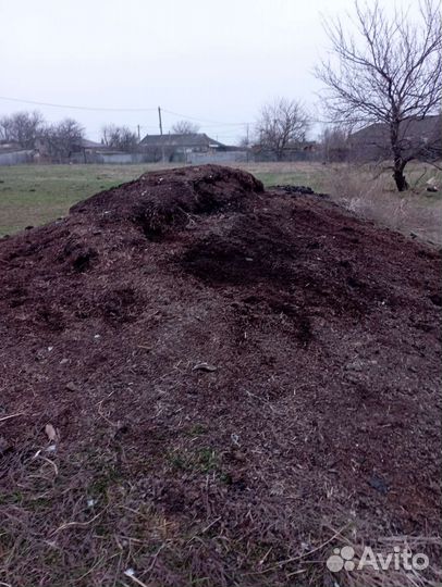 Чернозем перегной